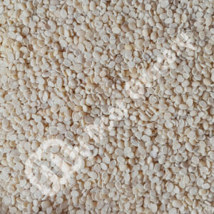 Dhuli Urad / White Urdi Dal -  धुली उरद / वाइट उर्दी दाल